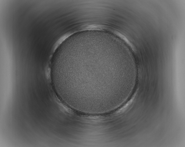 X0000112421066200908141406