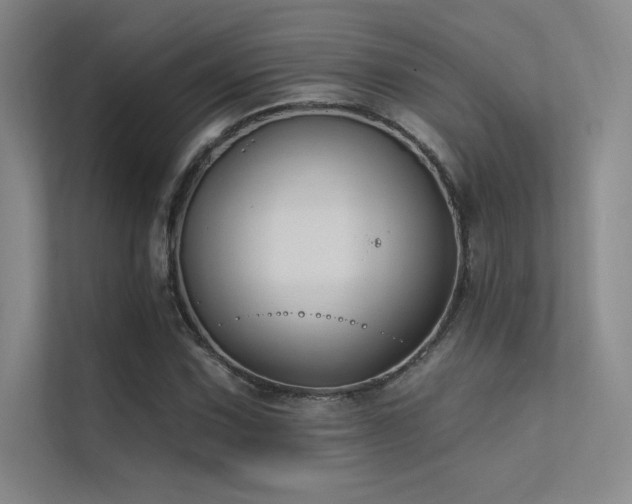 X0000112421067200908141406