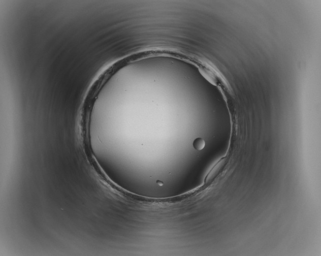 X0000112421068200908141406