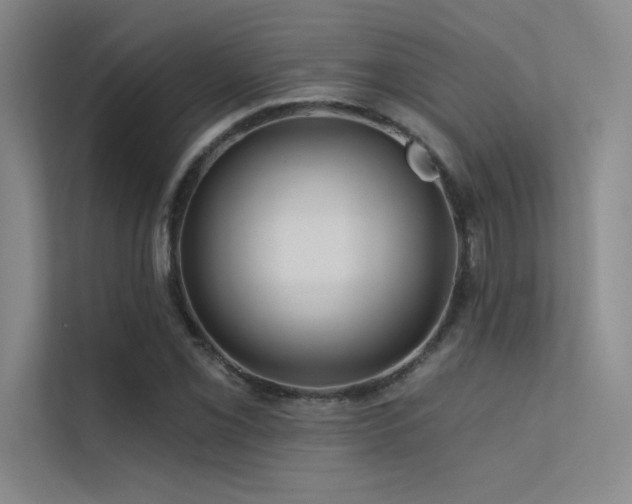 X0000112421069200908141406