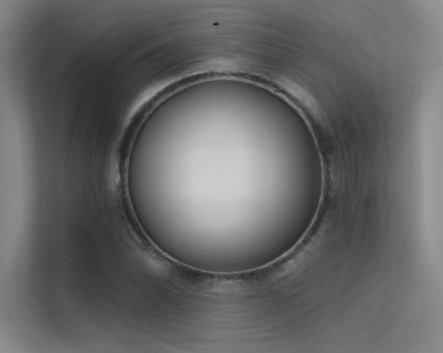 X0000112421070200908141406