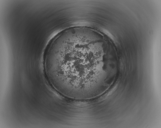 X0000112421071200908141406