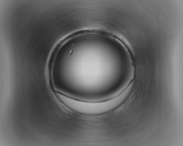 X0000112421072200908141406