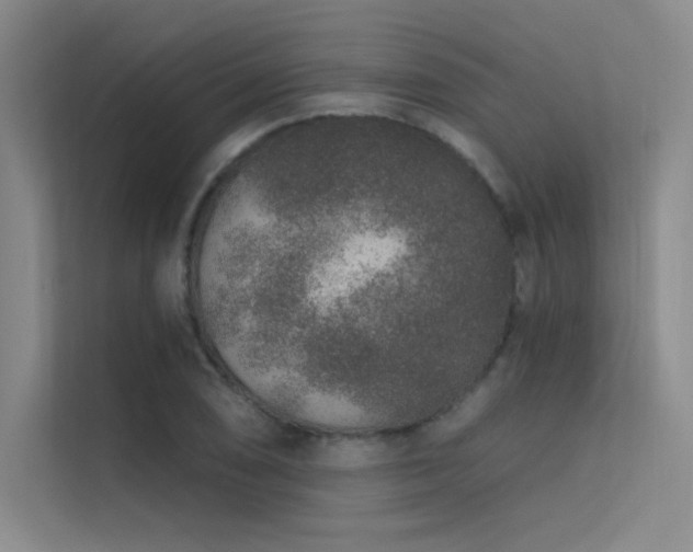 X0000112421074200908141406
