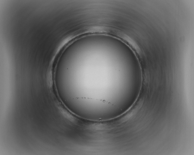 X0000112421075200908141406