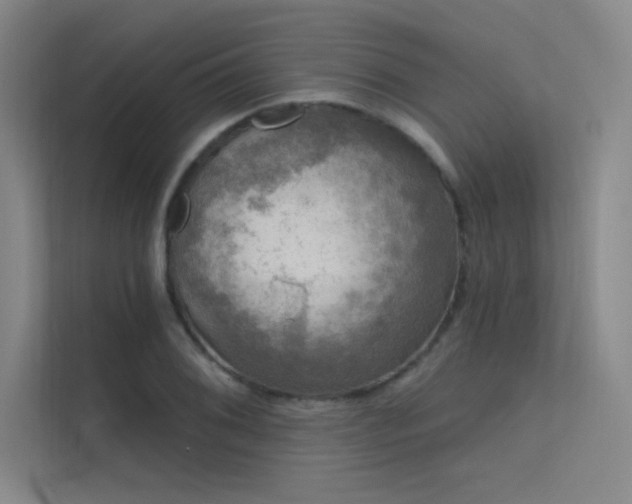 X0000112421076200908141406