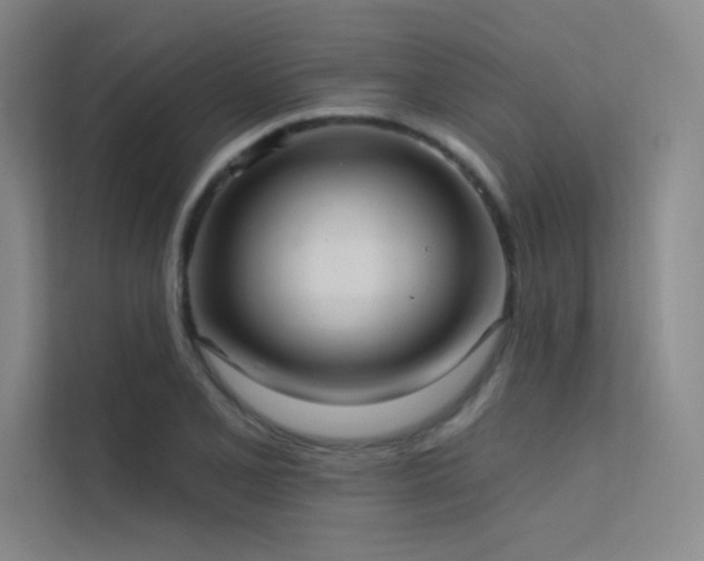X0000112421077200908141406