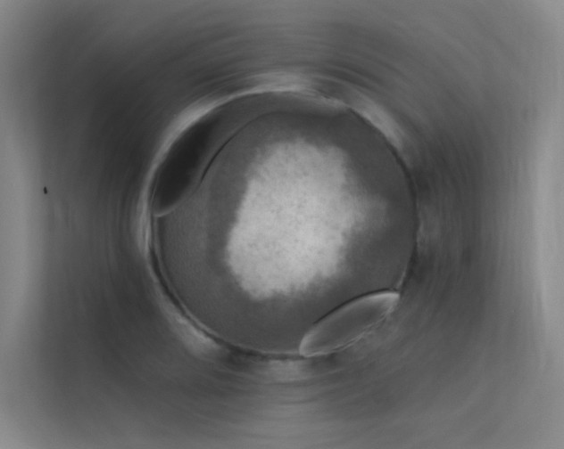 X0000112421080200908141406