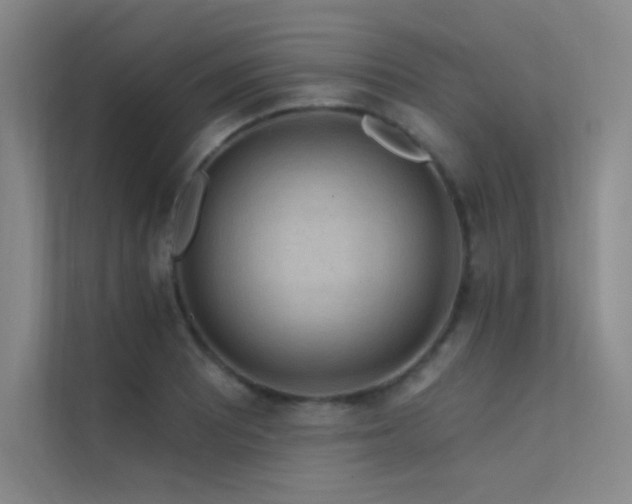 X0000112421081200908141406