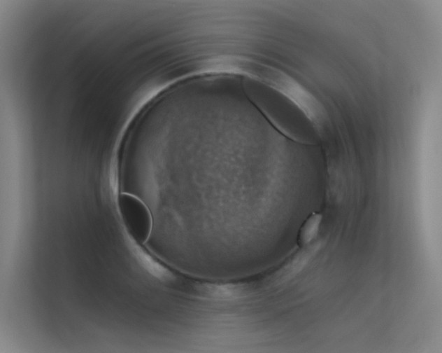 X0000112421084200908141406