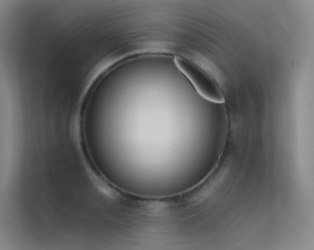 X0000112421085200908141406