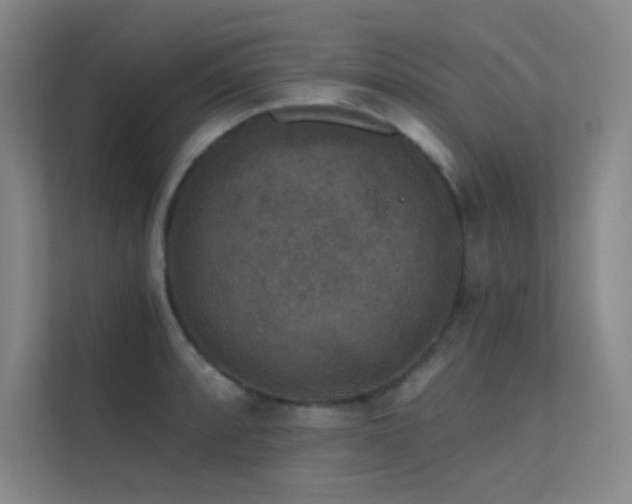 X0000112421088200908141406