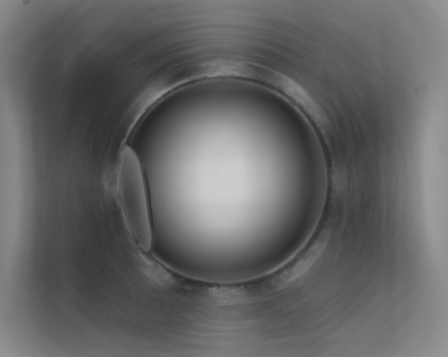 X0000112421089200908141406