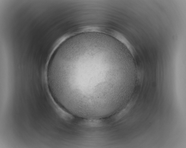 X0000112421090200908141406