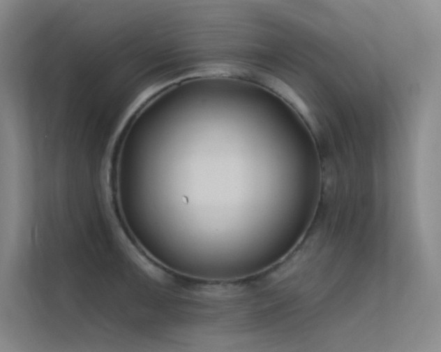 X0000112421091200908141406