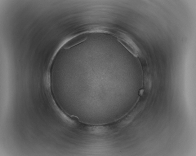 X0000112421092200908141406