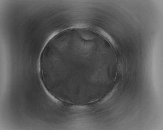 X0000112421095200908141406