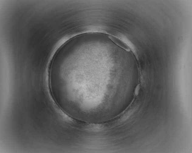 X0000112421096200908141406
