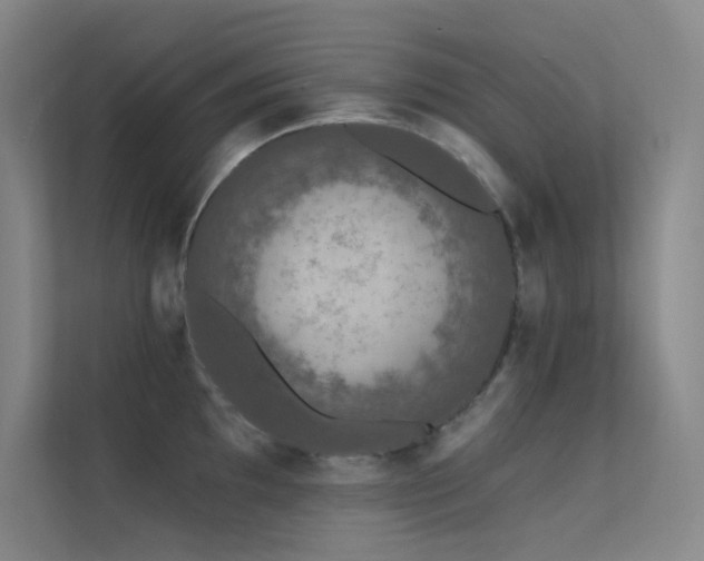 X0000112421097200908141406