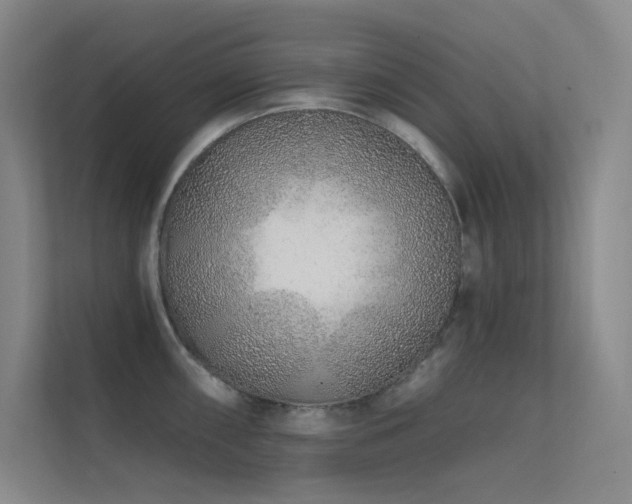 X0000112421098200908141406