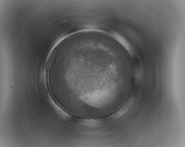 X0000112421100200908141406