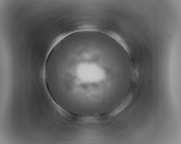 X0000112421101200908141406