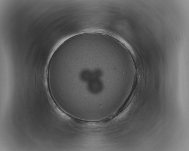 X0000112421102200908141406