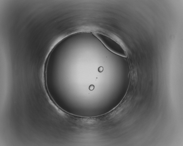 X0000112421103200908141406