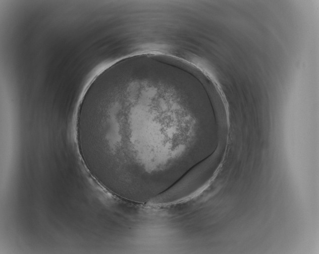 X0000112421104200908141406