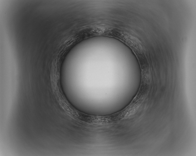X0000112421105200908141405