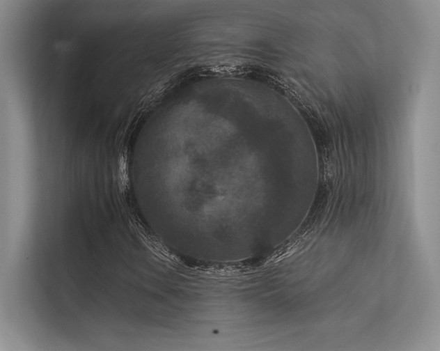 X0000112421106200908141405