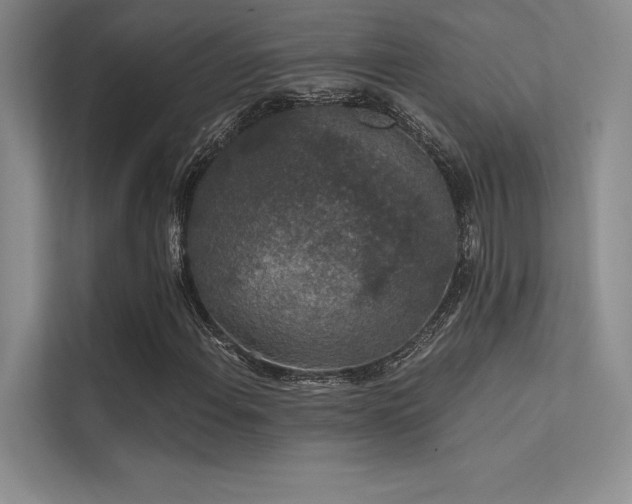 X0000112421108200908141405