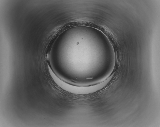 X0000112421110200908141405