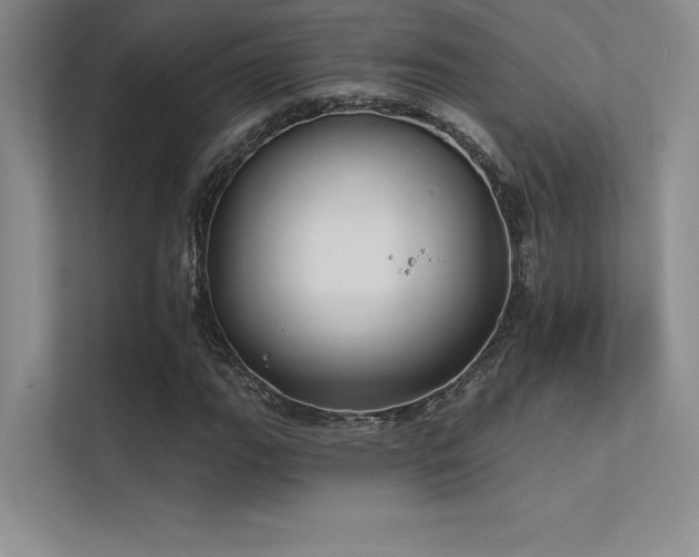 X0000112421111200908141405