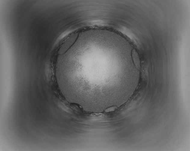 X0000112421112200908141405