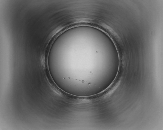X0000112421113200908141405