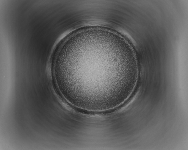 X0000112421114200908141405