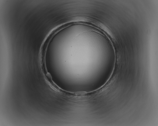 X0000112421116200908141405