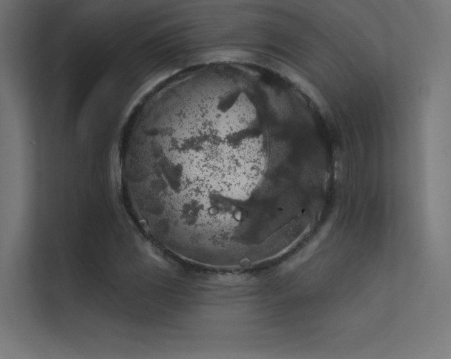 X0000112421117200908141405