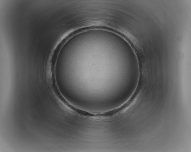 X0000112421118200908141405
