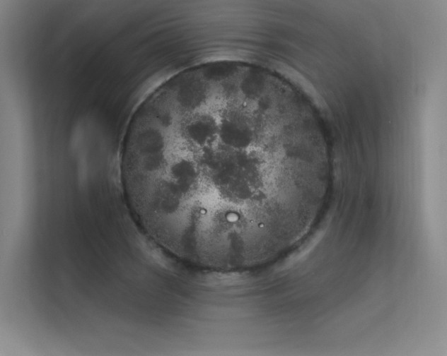 X0000112421121200908141405