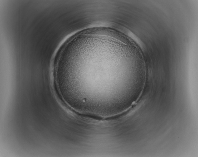 X0000112421124200908141405