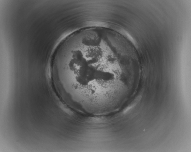 X0000112421125200908141405