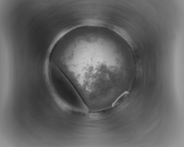 X0000112421128200908141405