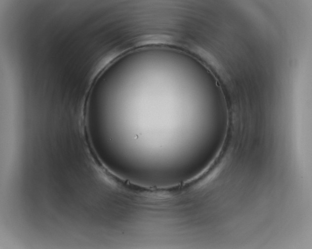 X0000112421129200908141405