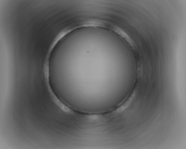 X0000112421130200908141405