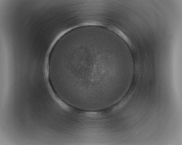 X0000112421132200908141405