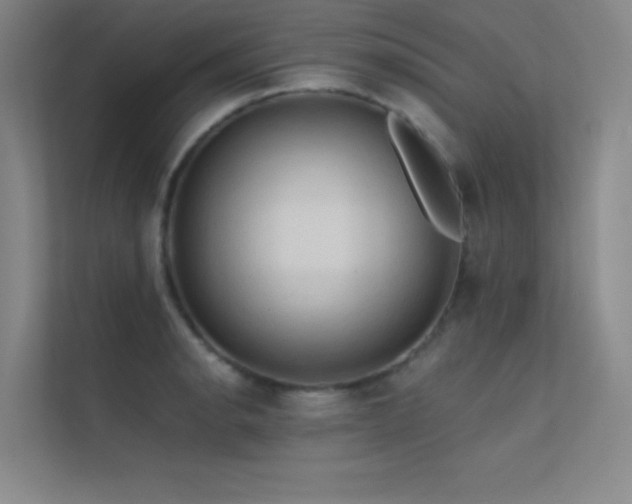 X0000112421134200908141405
