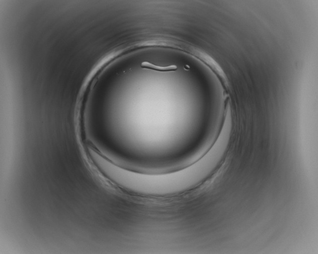 X0000112421138200908141406
