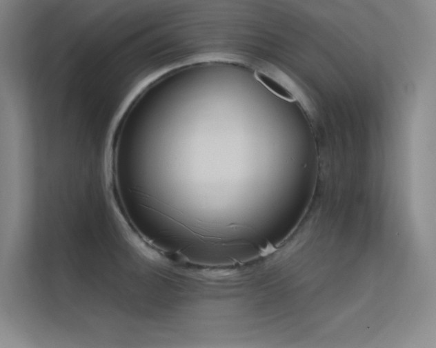 X0000112421140200908141406